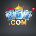 P67 Game